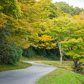 Scenic Autumn Path around Bass Lake in Blowing Rock